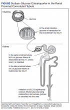 Sodium-Glucose Cotransporter in the Renal Proximal Convoluted Tubule figure