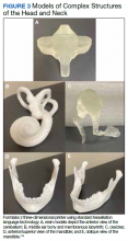 Models of Complex Structures of the Head and Neck