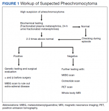 Workup of Suspected Pheochromocytoma