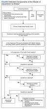 Selected Components of the Model of Adjustment to Illness