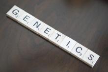 Scrabble tiles spelling &quot;genetics&quot;