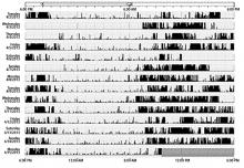 Actigraphy report showing sleep schedule 