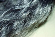 Gray hair