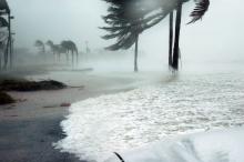 Shoreline during a hurricane