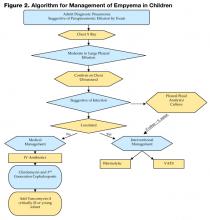 Community-Acquired Pneumonia: Implications for the Hospitalized Child ...