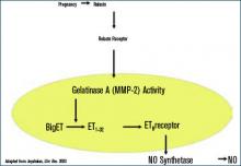 Figure 2. Serial blood pressure measurements during normal pregnancy