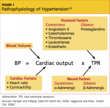 Management of Hypertensive Urgency and Emergency | Clinician Reviews