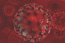 This image is a 3D illustration of the HIV virus.