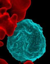 This image shows a malaria-infected red blood cell.