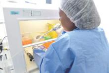 Amniotic fluid samples were analyzed in Dr. Ana de Filippis' lab.