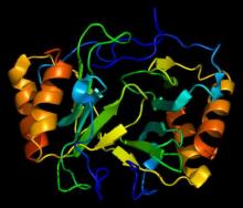 Structure of the PF4 protein. Based on PyMOL rendering of PDB