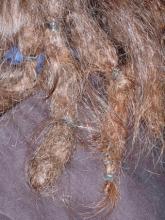 Figure 1. Dreadlocks are matted hairs formed into thick ropelike strands.
