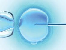 IVF