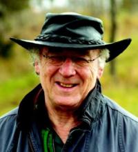 Dr. Gidon Koren