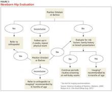 Newborn Hip Evaluation image