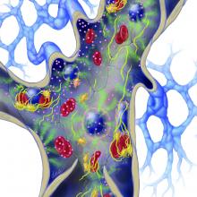 Illustration shows vascularized cancer cells in the background upper left, with arteries going into it and a venous plexus coming off which joins up with a bigger vein with valves. larger pink molecular balls represent the procoagulation factor that tumor cells produce that directly jump starts the coagulation pathway. the procoagulation factor molecules are binding to regular leukocytes, endothelium and platelets that will then start producing tissue factor that also encourages coagulation. Als...