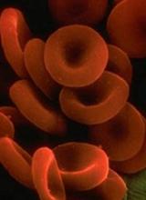 Red blood cells