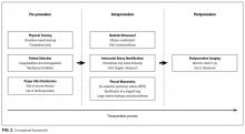 Conceptual framework