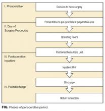 Phases of perioperative period