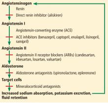 The renin-angiotensin-aldosterone system and drugs that inhibit it.