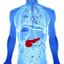 An artist's rendering of a body, with the pancreas shown in red.