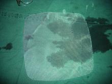 Polypropylene surgical mesh