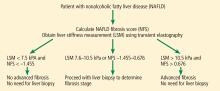 Algorithm to determine fibrosis stage for nonalcoholic fatty livery disease. 