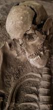 Fossil skull skeleton at archeological site