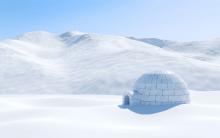 Snow field igloo