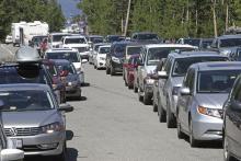 Vehicles in stop-and-go traffic