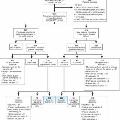 Implementation of a population-based cirrhosis identification and ...