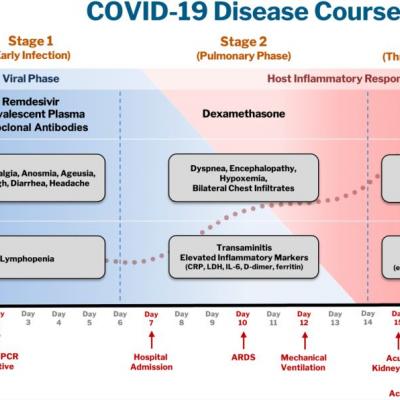 The State Of Inpatient Covid-19 Care 