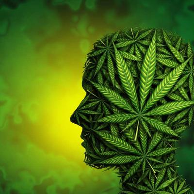 Cannabis and schizophrenia: A complex relationship | MDedge Psychiatry