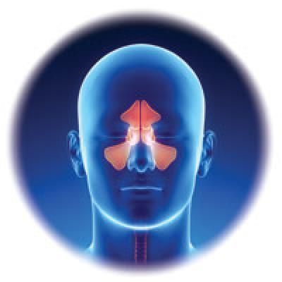 Common Variable Immunodeficiency: A Clinical Overview | Clinician Reviews