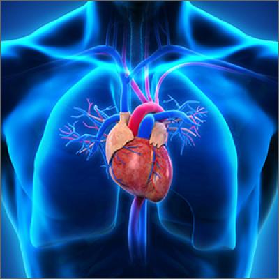 How effective is spironolactone for treating resistant hypertension ...