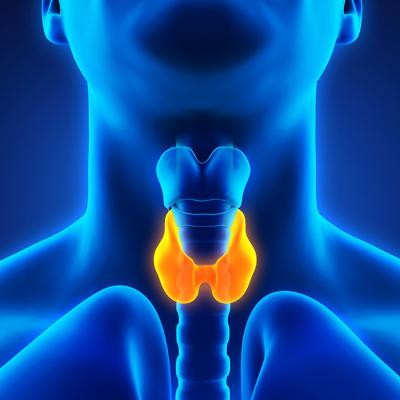 Refining your approach to hypothyroidism treatment | MDedge Family Medicine