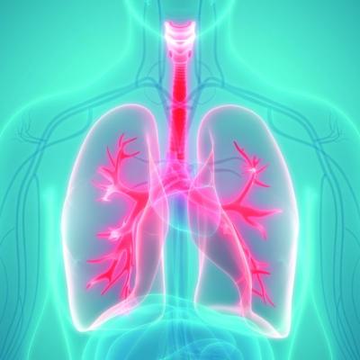 Copd Lungs Animation