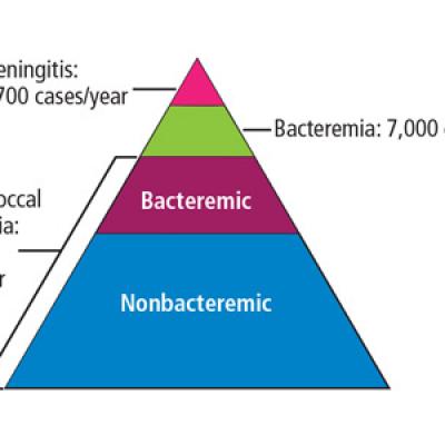 Navigating pneumococcal vaccination in adults | MDedge Family Medicine