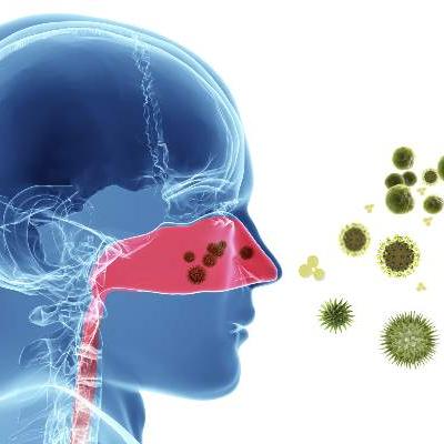 Guideline clarifies first-line treatment for allergic rhinitis | CHEST ...