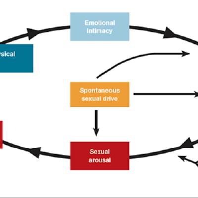 2019 Update on female sexual dysfunction MDedge ObGyn