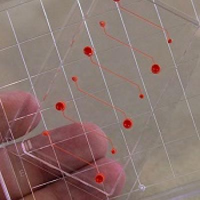 Device could be used to monitor antiplatelet therapy | MDedge ...