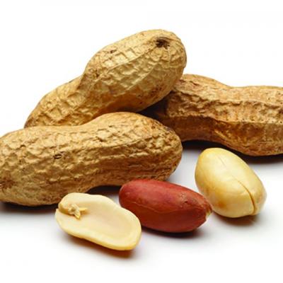 Peanut desensitization comes at cost of anaphylaxis | MDedge Pediatrics